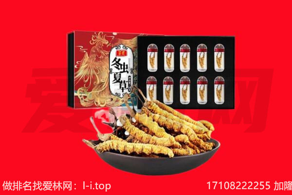 周口市沈丘回收虫草.jpg